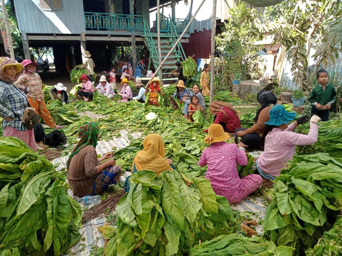 Tonle Mekong Homestay Krong Kracheh Εξωτερικό φωτογραφία